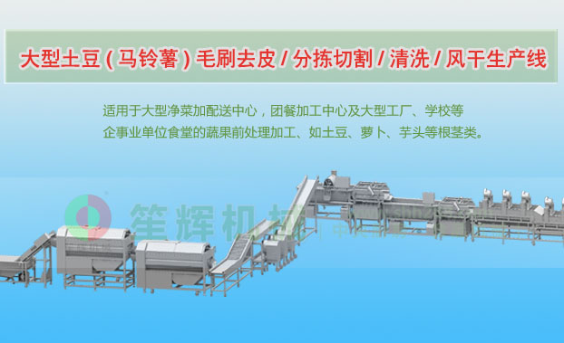 中站连续式土豆去皮清洗切割风干生产线